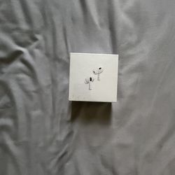 EarPods 