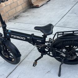 TESGO Seeker Hum Folding Electric Bike