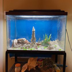 22 Gallons Fish Tank With Everything You Need 
