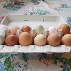 Farm Fresh Eggs