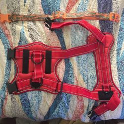 Dog Harness And Collar (L)