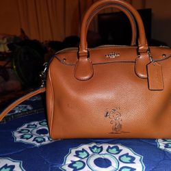 Coach Cross Body Peanuts Handbag 