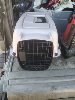 Small pet carrier