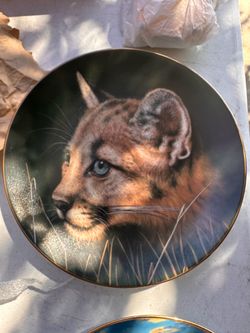 Collectibles plates