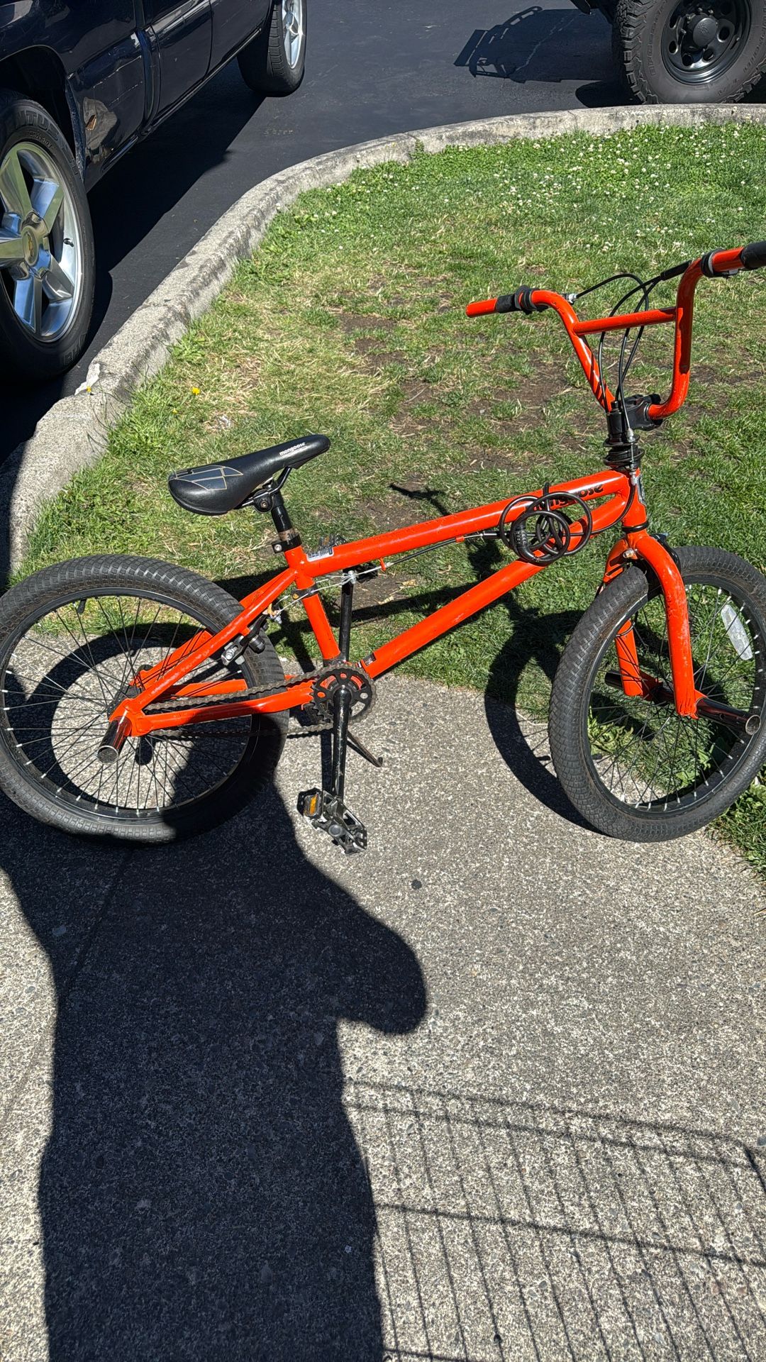 Mongoose