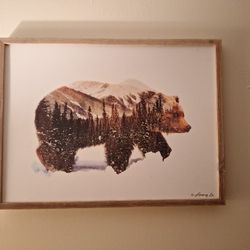 2 Wilderness Pictures