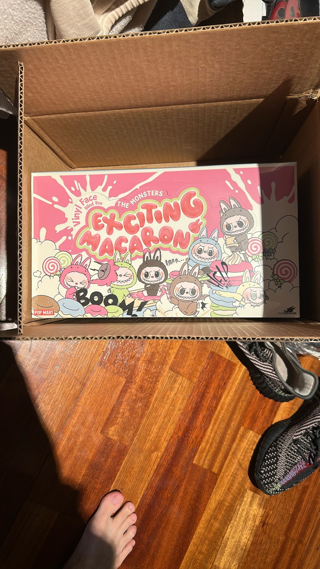 Labubu Exciting Macaron Sealed Case