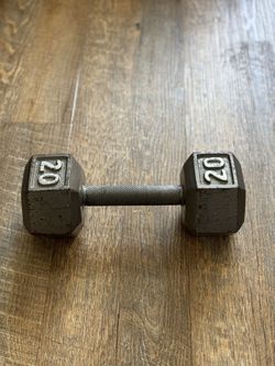 One 20lb Dumbbell