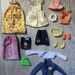 Barbie Clothes and Accessories Bundle ( Price For All )