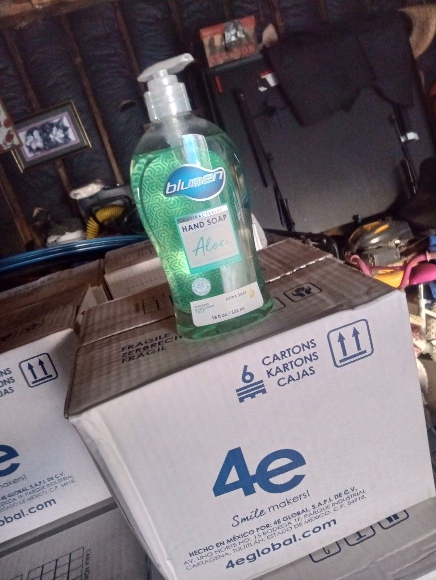 12 Pack Box Hand Soap