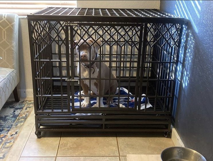 Heavy Duty Dog Crate Strong Metal Pet Kennel