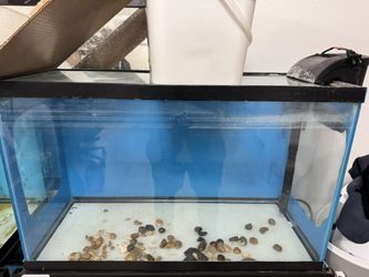 29gal Fish tank 30x12x18