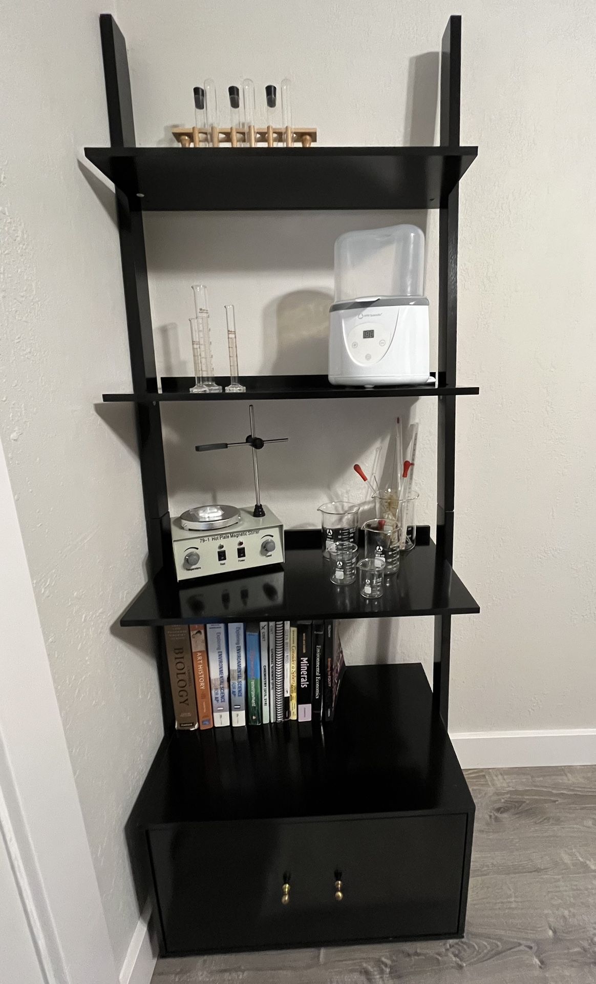 Black Ladder Bookshelves x2