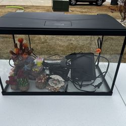 Fish Tank 