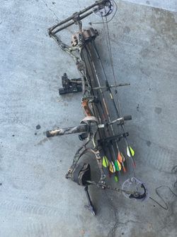 Compound bow