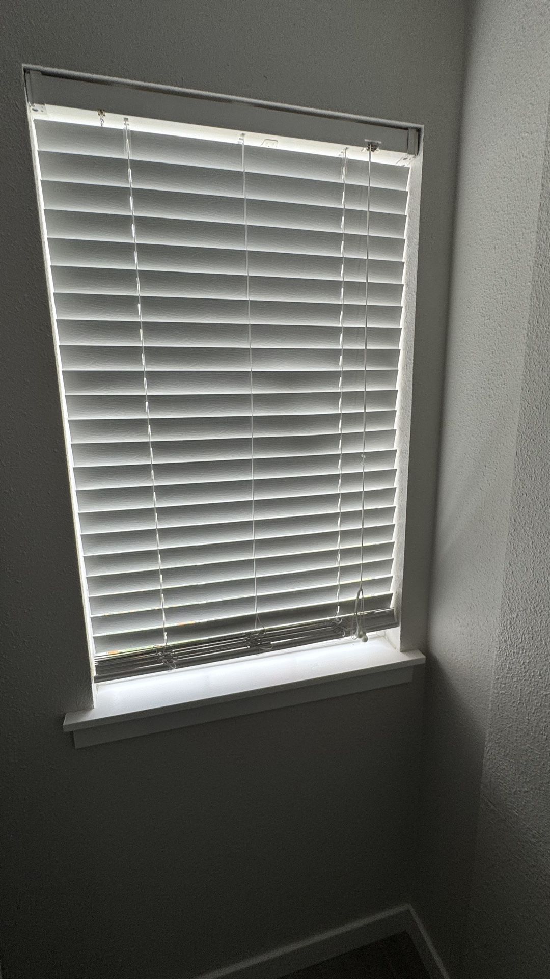 White Color Blinds