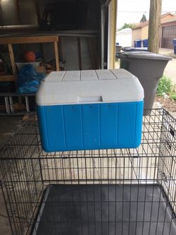 Cooler