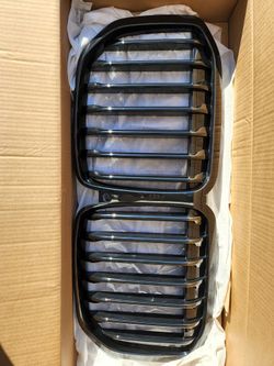 Carid Brand BMW X7 Kidney Grille