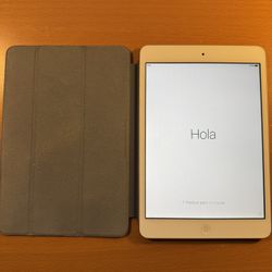 iPad Mini