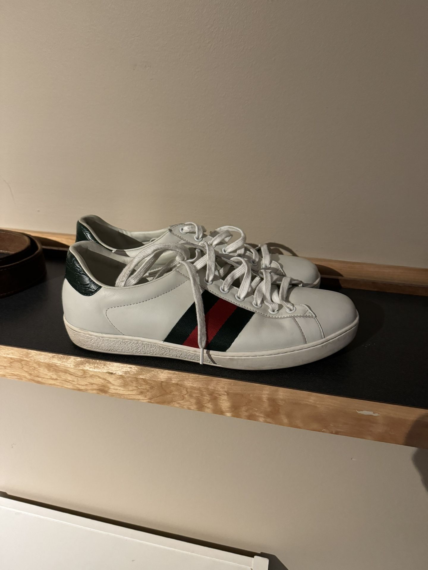 Gucci Ace 