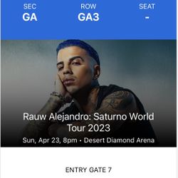 1 GA Ticket Rauw Alejandro Ticket