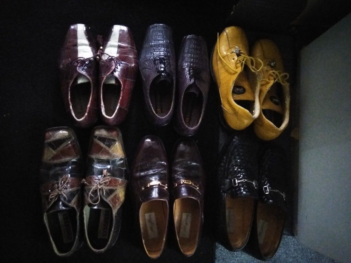 City slicker, David Eden, Mauri, Steve Harvey alligator, crocodile, lizard