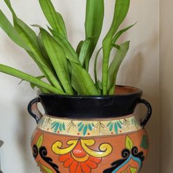 Snake Plant With Talavera Pot & Stand