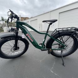 Electric Bike - Young Electric E Scout 