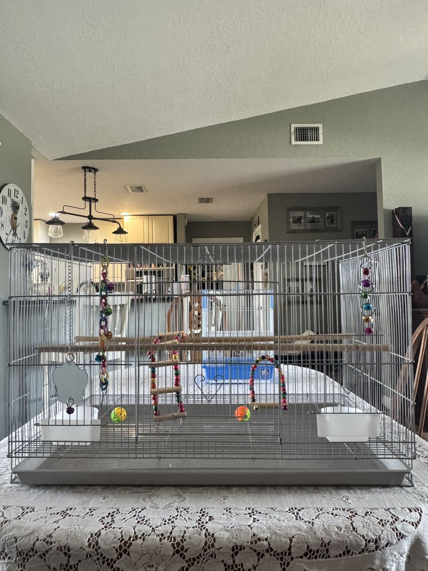 Birdcage 30”