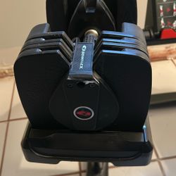 Bowflex Adjustable Dumbbells 