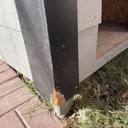 Dog house