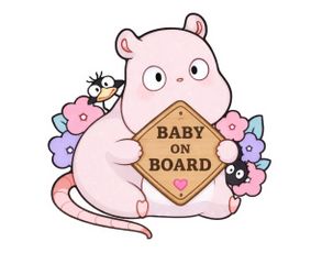Vinyl baby on board boh