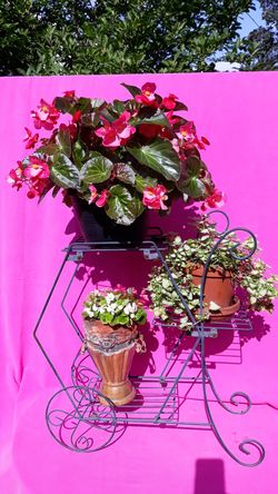 Vintage Plant Cart