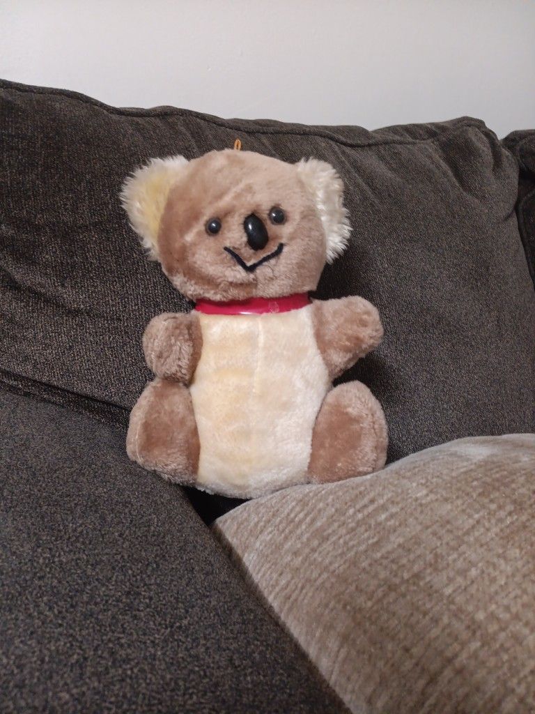 Hard Tedybear