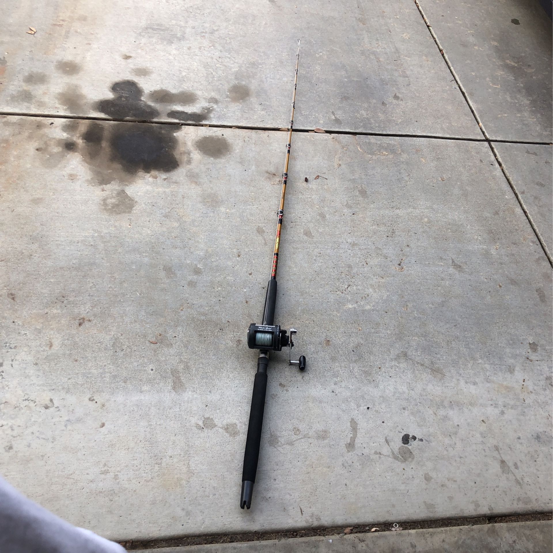 Ugly Stik Tiger/Shimano Charter special Rod And Reel Combo for Sale in  Turlock, CA - OfferUp