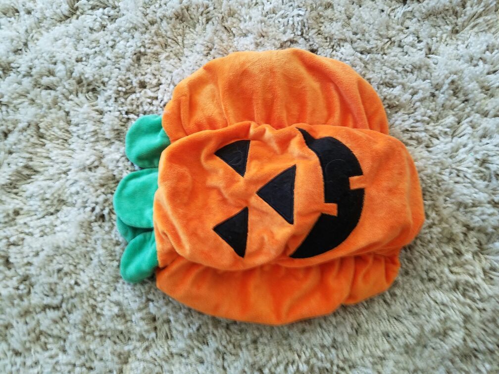Pumpkin dog costume