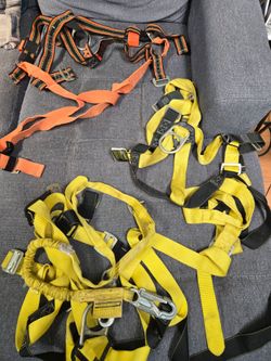 Harness