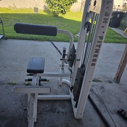 AB Abdominal And Back Fitness Workout Exercise Home Gym Weight Machine 