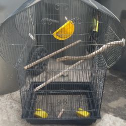 BIRD CAGES FOR SALE 