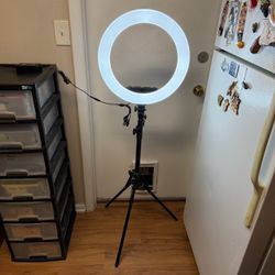 Ring light with tripod - entirely functional but tripod is missing a lock for some of the extension and you need your own power cord Spins, twists, t
