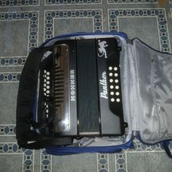 Accordion Panther 