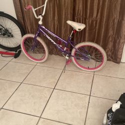 20 Hinches Girls Bike Huffy 