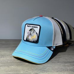 Goorin Bros! One Size Fits All