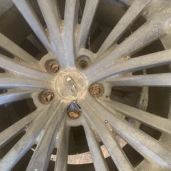 Tesla Rims