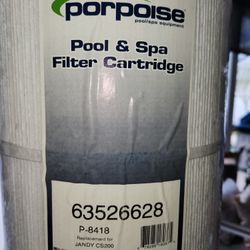 Pool Filter Cartridge 