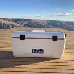 Igloo Max Cooler 165 Quart