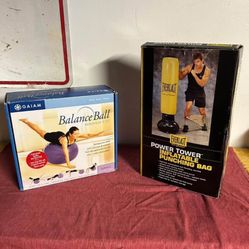 Yoga Ball And Punching Bag 