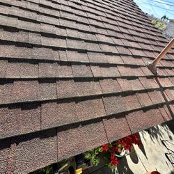 Roofing Shingle 