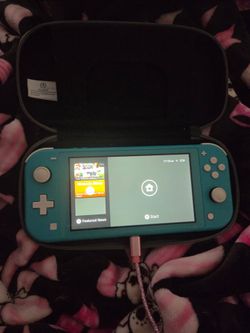 Switch lite