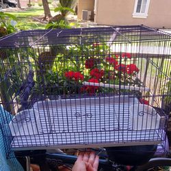 Large Bird Cage With Food/Water Dishes 